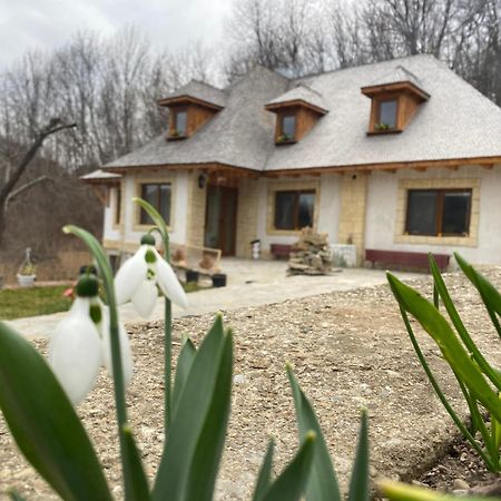 Casa Cu Sindrila Villa วาเลนี เด มุนเต ภายนอก รูปภาพ