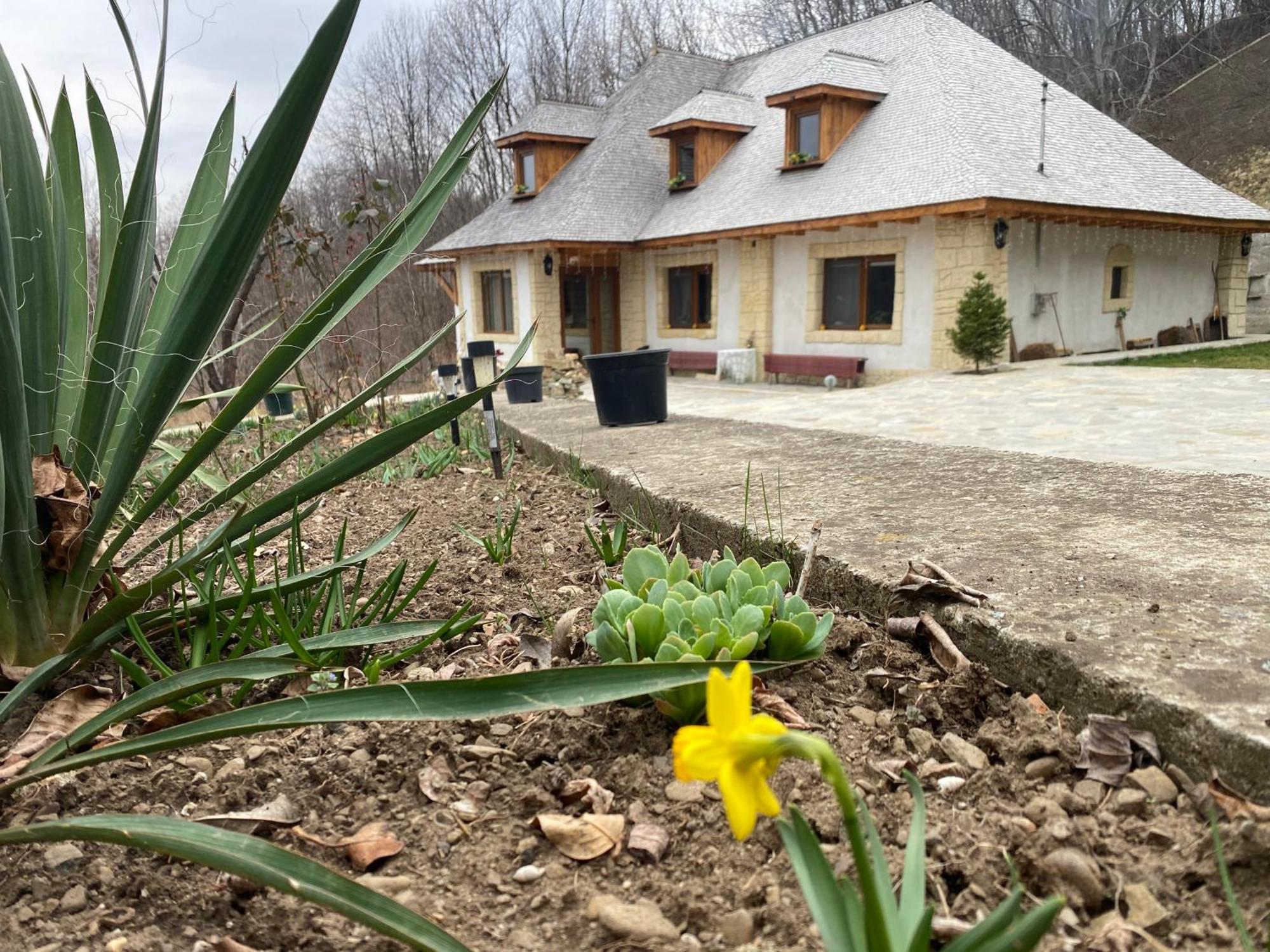 Casa Cu Sindrila Villa วาเลนี เด มุนเต ภายนอก รูปภาพ