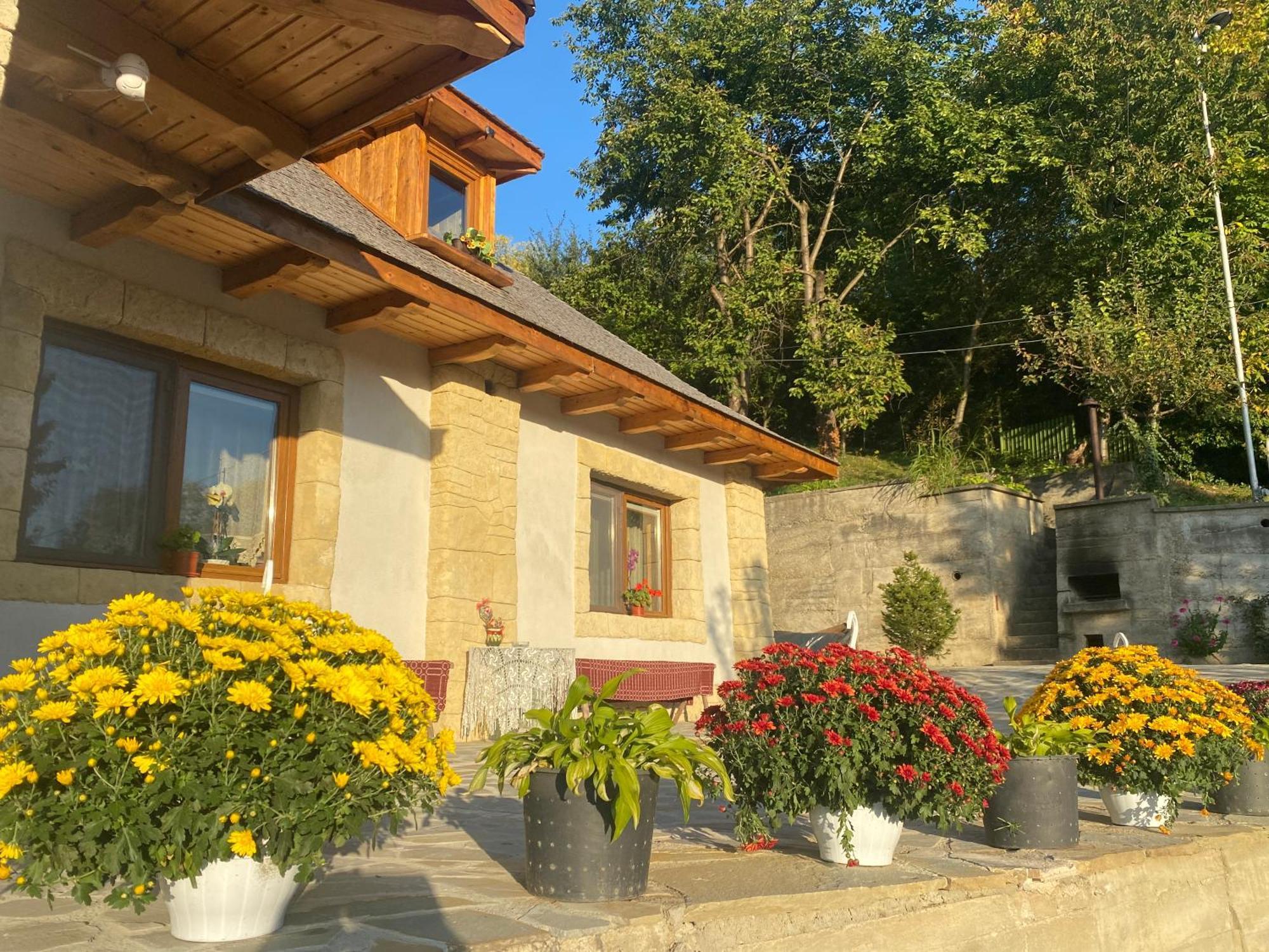 Casa Cu Sindrila Villa วาเลนี เด มุนเต ภายนอก รูปภาพ