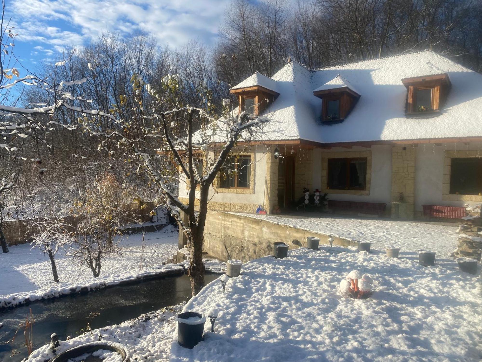 Casa Cu Sindrila Villa วาเลนี เด มุนเต ภายนอก รูปภาพ