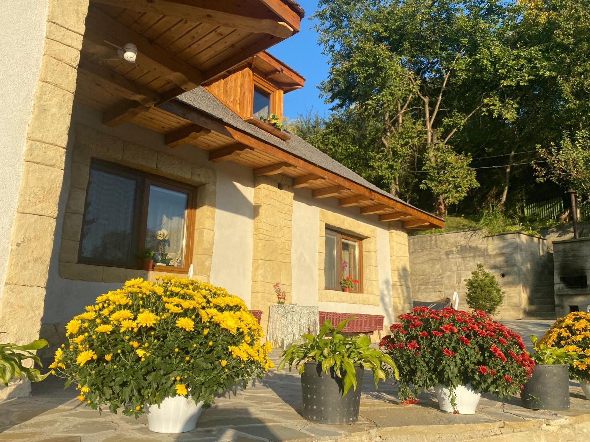 Casa Cu Sindrila Villa วาเลนี เด มุนเต ภายนอก รูปภาพ